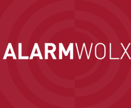 Mitos e verdades sobre a Alarm Wolx